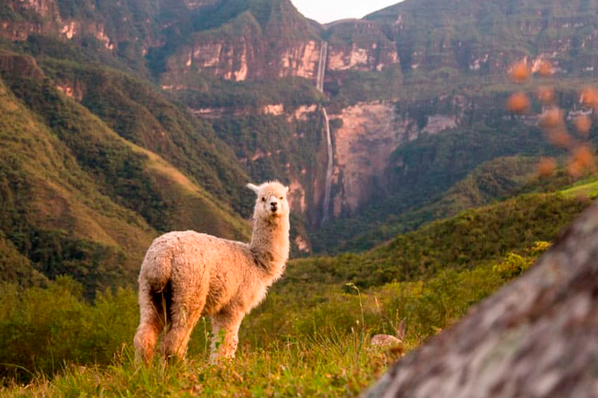 Tarapoto and Chachapoyas 6D 5N