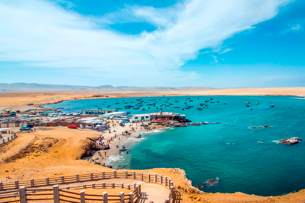 Paracas y Huacachina Pool