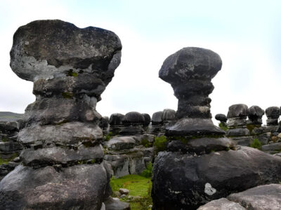 Cajamarca Bosque Sapitos Lima Inca Trip
